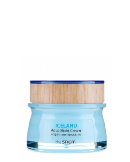 the SAEM Увлажняющий крем для лица Iceland Aqua Moist Cream, 60 мл